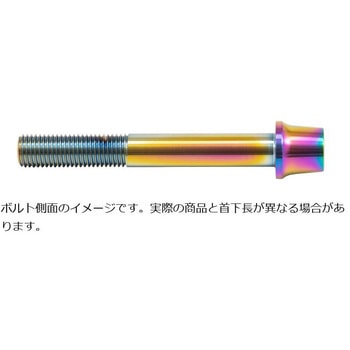 ステンレスキャリパーマウントボルト チタン色 CMBT-055T プロトブレンボ