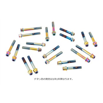 ステンレスキャリパーマウントボルト チタン色 CMBT-055T プロトブレンボ