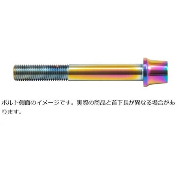 ステンレスキャリパーマウントボルト チタン色 CMBT-060T プロトブレンボ