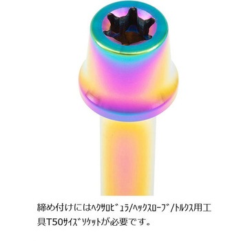 ステンレスキャリパーマウントボルト チタン色 CMBT-065T プロトブレンボ