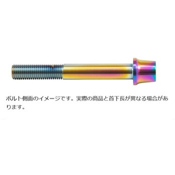 ステンレスキャリパーマウントボルト チタン色 CMBT-065T プロトブレンボ