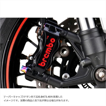ステンレスキャリパーマウントボルト チタン色 CMBT-075T プロトブレンボ