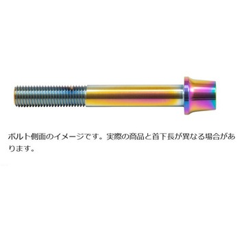 ステンレスキャリパーマウントボルト チタン色 CMBT-075T プロトブレンボ