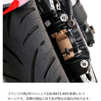 ステンレスキャリパーマウントボルト ポリッシュ CMBF-055P プロトブレンボ