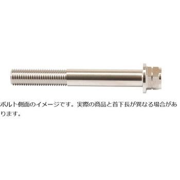 ステンレスキャリパーマウントボルト ポリッシュ CMBF-055P プロトブレンボ