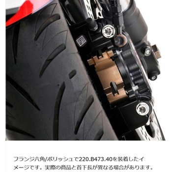 ステンレスキャリパーマウントボルト ポリッシュ CMBF-060P プロトブレンボ