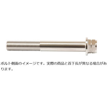 ステンレスキャリパーマウントボルト ポリッシュ CMBF-060P プロトブレンボ