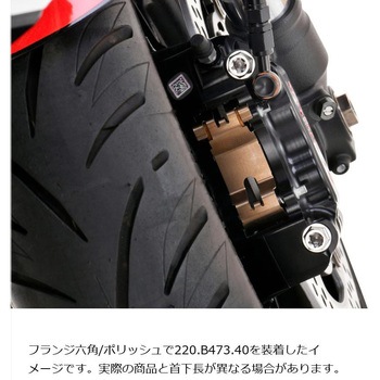 ステンレスキャリパーマウントボルト ポリッシュ CMBF-065P プロトブレンボ