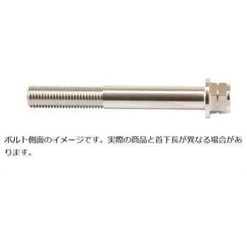 ステンレスキャリパーマウントボルト ポリッシュ CMBF-065P プロトブレンボ