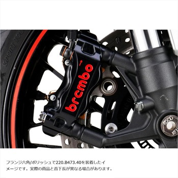 ステンレスキャリパーマウントボルト ポリッシュ CMBF-070P プロトブレンボ