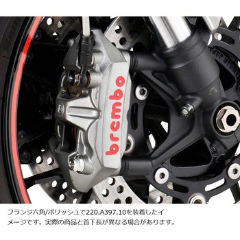 ステンレスキャリパーマウントボルト ポリッシュ CMBF-070P プロトブレンボ