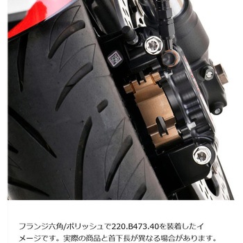 ステンレスキャリパーマウントボルト ポリッシュ CMBF-075P プロトブレンボ