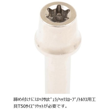 ステンレスキャリパーマウントボルト ポリッシュ CMBT-055P プロトブレンボ