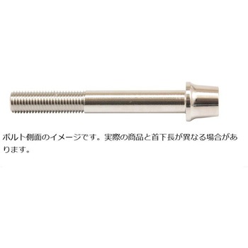 ステンレスキャリパーマウントボルト ポリッシュ CMBT-055P プロトブレンボ