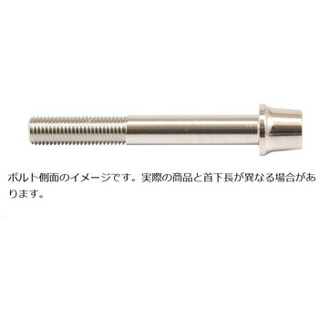 ステンレスキャリパーマウントボルト ポリッシュ CMBT-065P プロトブレンボ