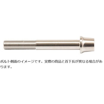 ステンレスキャリパーマウントボルト ポリッシュ CMBT-075P プロトブレンボ