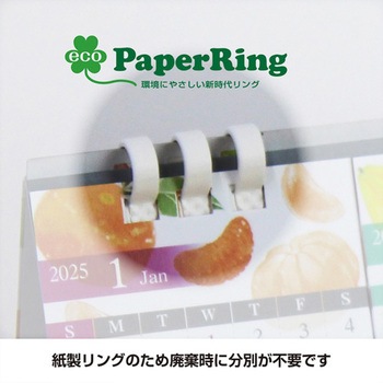 卓上カレンダー  Juicy Fruits Calendar キングコーポレーション
