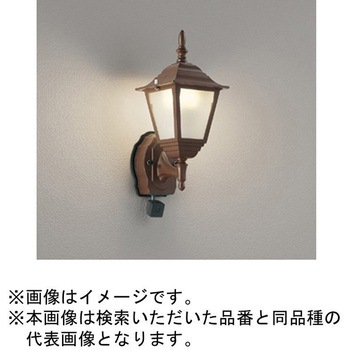 高演色LED エクステリアポーチライト カメラ付 ODELIC(オーデリック)