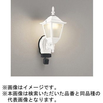 高演色LED エクステリアポーチライト カメラ付 ODELIC(オーデリック)