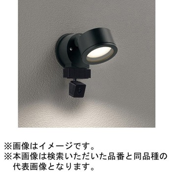 高演色LED エクステリアスポットライト 顔識別カメラ付 ODELIC(オーデリック)