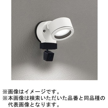 高演色LED エクステリアスポットライト 顔識別カメラ付 ODELIC(オーデリック)