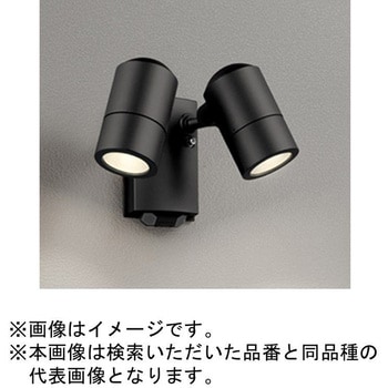 高演色LED エクステリアスポットライト 人感センサー/フラッシュ