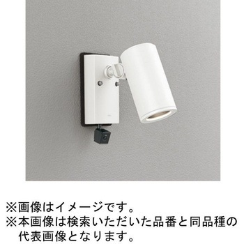 LED エクステリアスポットライト 人検知カメラ付 ODELIC(オーデリック)