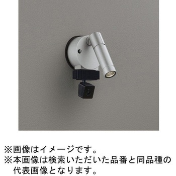 LED エクステリア ランプ交換型スポットライト 顔識別カメラ付 ODELIC(オーデリック)