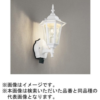 LED エクステリアポーチライト カメラ付 ODELIC(オーデリック)