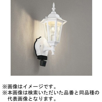 LED エクステリアポーチライト カメラ付 ODELIC(オーデリック)