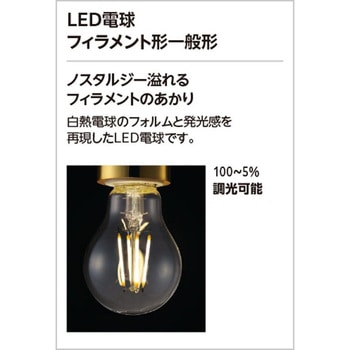 LED ペンダントライト ODELIC(オーデリック)