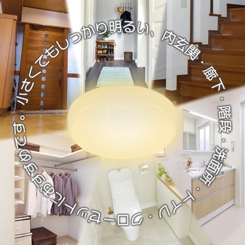 LEDミニシーリングライト 60W相当 オーム電機