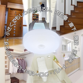 LEDミニシーリングライト 人感センサー 昼光色 オーム電機