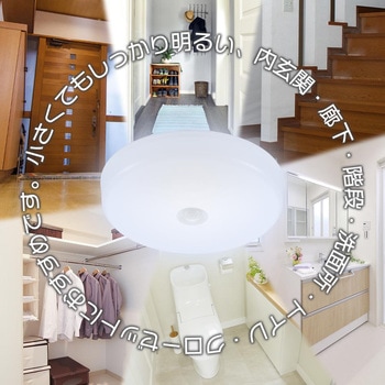 LEDミニシーリングライト 人感センサー 昼光色 オーム電機