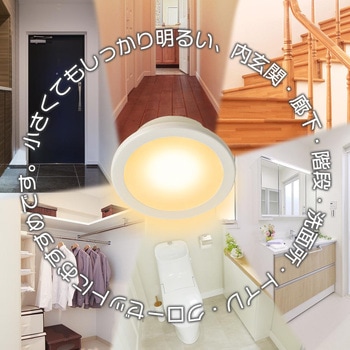 LEDミニシーリングライト オーム電機