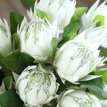 造花 プロテア エルブレイン