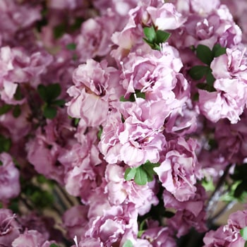 造花 ヤエザクラ エルブレイン