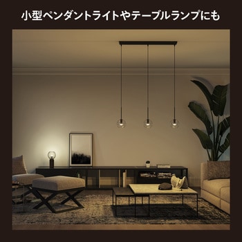 Philips Hue ホワイトグラデーション E17 電球 40W形相当