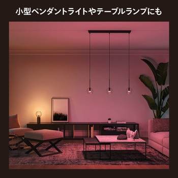 Philips Hue フルカラー E17 電球 40W形相当 フィリップス