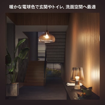 Philips Hue ホワイト E26 電球 75W形相当 フィリップス