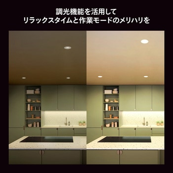 Philips Hue ホワイト E26 電球 75W形相当 フィリップス