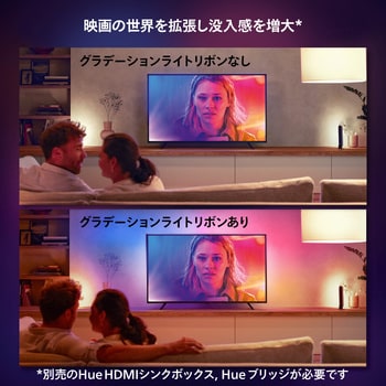 PHTV55 Philips Hue Play グラデーションライトリボン TV 55-60