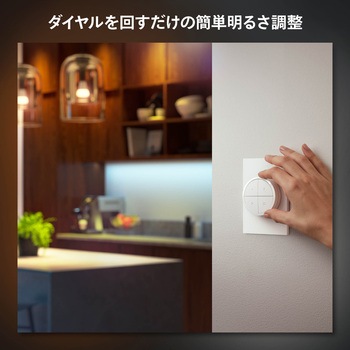 Philips Hue ダイヤルスイッチ フィリップス