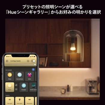 PHWA2DS Philips Hue ホワイトグラデーションスターターセット 1セット フィリップス 【通販モノタロウ】