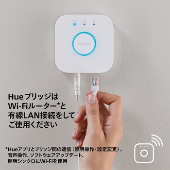 Philips Hue Play グラデーションライトリボン PC 24-27インチ専用 スターターセット フィリップス