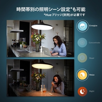 Philips Hue ディマースイッチ フィリップス
