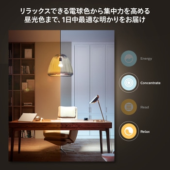 Philips Hue ホワイトグラデーション E26 電球 75W相当 フィリップス