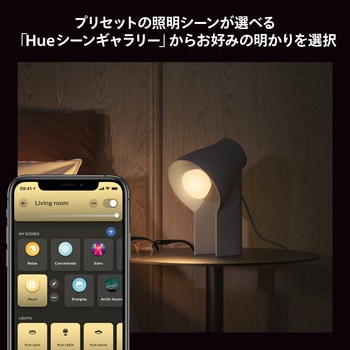 Philips Hue ホワイトグラデーション E26 電球 75W相当 フィリップス