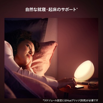 Philips Hue Go ポータブル アクセントランプ フィリップス