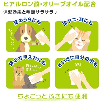 2in1 トリートメントできるシャンプータオル 第一衛材